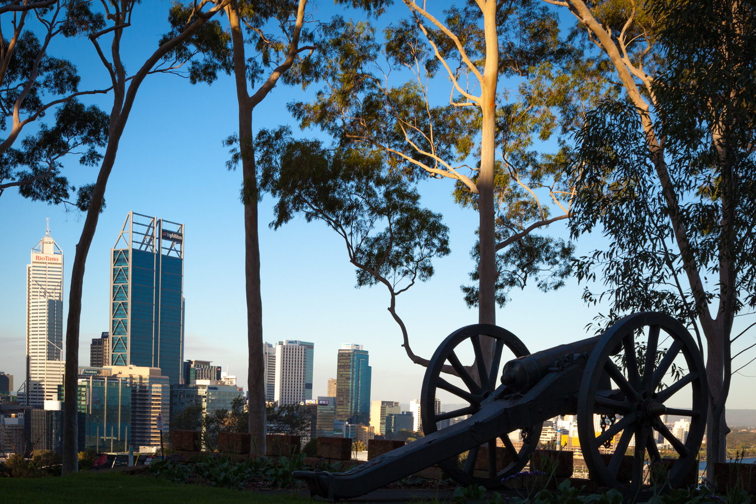 Kings Park Photography Course-1